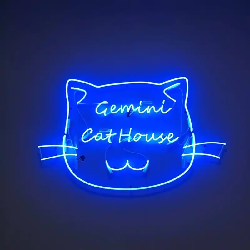 Custom Shaped Neon Lights